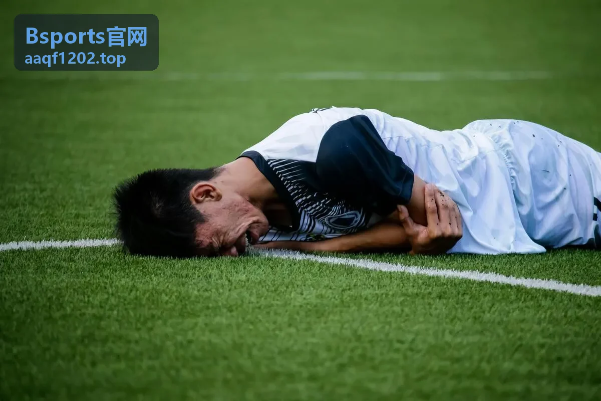 Bsports官网场馆智慧运营后台大屏